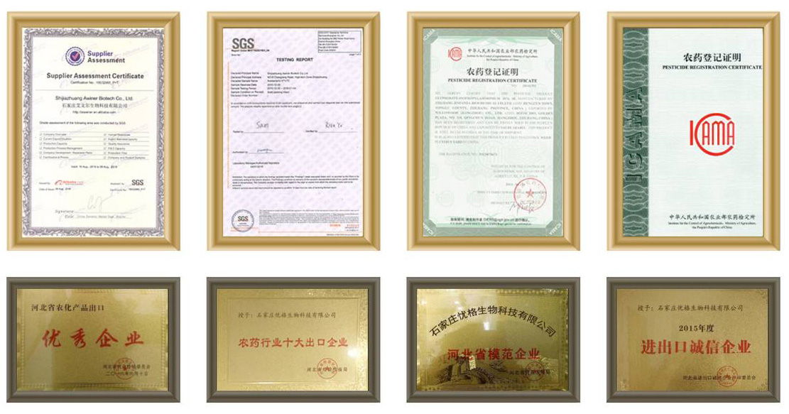 Company Certificate